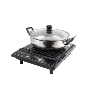 SMARTHOME  Induction Model WPA-2009